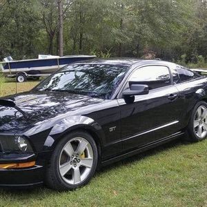 Meet your Posher, Paula